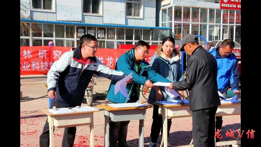 扮猪吃虎夏日炎是什么生肖请全面2释义、解释与落实、实时解答解释落实