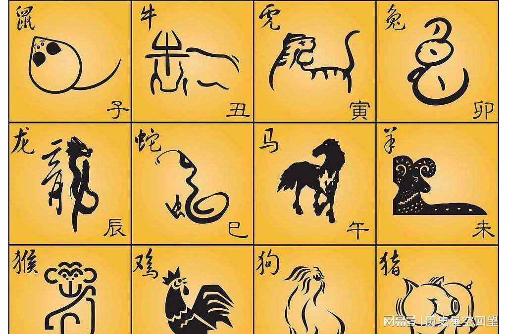 幸运之神来我家，不中六合都很难是指那个生肖的全面释义、解释与落实、实时解答解释落实