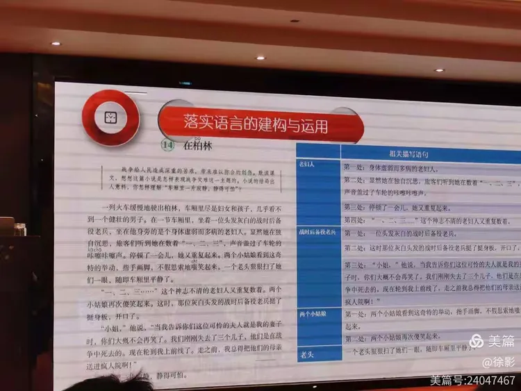 性命攸关打一生肖是什么，全面释义、构建解答解释落实